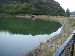 夏の八幡湖　アオコ発生で、湖面一面が緑色に変わる。(２００３年７月撮影) 