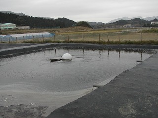 ２５０�dの尿のため池が３つ並び、オーバーフローしながら、下の池に流れ込む。滞留時間は各槽４ヶ月程度と計算できる。