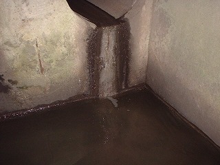 上流部の流入口。 この下に堰を作った。