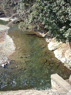 本施設は唐沢川の水、日量３００�dを取水し,浄化して戻している。