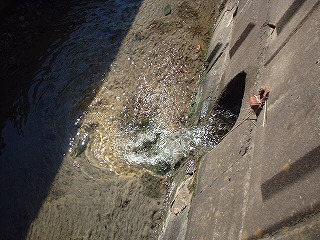 浄化後、川に放水している。